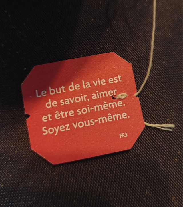 Photo d'un jour ✨️

Photo d'un jour ✨️

Soyons nous-même 🍀

Une phrase si simple ... 
Un processus, un choix de vie, une philosophie d'être qui demande plus de temps que la simplicité de ces quelques mots ⭐️

Il faut en déblayer des souvenirs, émotions, conditionnements et croyances pour arriver à juste écouter cette première voix en nous qui est juste soi, trouver l'équilibre entre le respect de soi et des autres.

Pour ne plus laisser la place à... si je dis cette phrase ... serais je encore aimée... si je fais cette action ... comment se sera perçu.... que penses les autres de moi ... si je suis complètement moi ...

Toutes ces interrogations poisons 🎭 ... qui nous font croire que pour être aimé par l'autre il faut être comme lui .... qui nous font modifier nos phrases avant de les exprimer ou même les retenir ... 

Alors qu'en faite en étant nous même nous créons cette diversité, cette complémentarité, nous sommes la pièce d'un puzzle magnifique, une pièce importante, unique, indispensable. 
Sans nos différentes facettes assumées nous ne pouvons finir ce grand puzzle qu'est l'humanité. 
En étant moi j'ai découvert un monde plus accueillant, plus vivant, plus aimant, plus vibrant ... je me suis découverte ❣️🎁✨️

Les mots seuls sont parfois plus grands et impactants que les grands discours ✨️

"Être Soi" ✨️

 #massage #accompagnement #energetique #photodunjour #etresoi #etresoimeme #amourdesoi