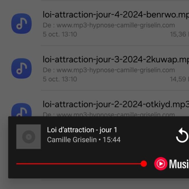 J'adore les défis ✨️

Depuis 1 an j'expérimente la loi d'attraction grâce aux conseils et coaching de @camille.griselin d'abord en livre et maintenant en audio et exercices 🙏🍀

Et ma vie s'est transformée, ceux qui me suivent le savent, l'année 2024 a été juste (IN)CROYABLE !! oui juste Croyable 😊 !
Nous avons mis beaucoup de changements en place dans nos vies et jusqu'à ce jour ils portent tous leurs fruits, c'est tellement plus vibrant qu'avant 🙏✨️🍀☀️⭐️💛, alors il a fallu en traverser des émotions, croyances et défis mais c'était pour tellement plus grand ☀️

J'aime partager mes recettes secrètes 🥰

Alors aujourd'hui 1er décembre 2024, je reprends à nouveau mes 2 coaching de 21 jours proposés par  Camille "Être Géniale" & "Loi d'attraction", c'est mon calendrier de l'avant Noël et la belle année 2025 qui m'attends remplie de belles surprises ❣️

Des fois que cette belle idée matinale t'apporte l'envie de te sentir et Être Géniale et de rendre ta vie abondante ⭐️

Je te le souhaite du fond de mon cœur ❤️ 

Beau mois de décembre et de la magie qui l'accompagne ⭐️✨️